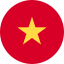 icon flag Vietnamese