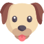 icon Duno Dictionary